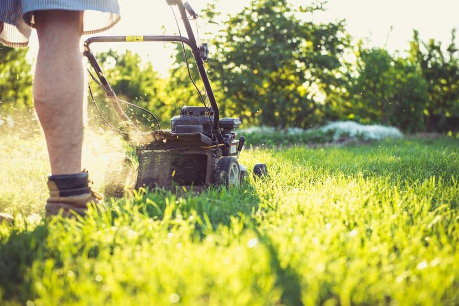 Landscaping Services For Home Sellers in Las Vegas