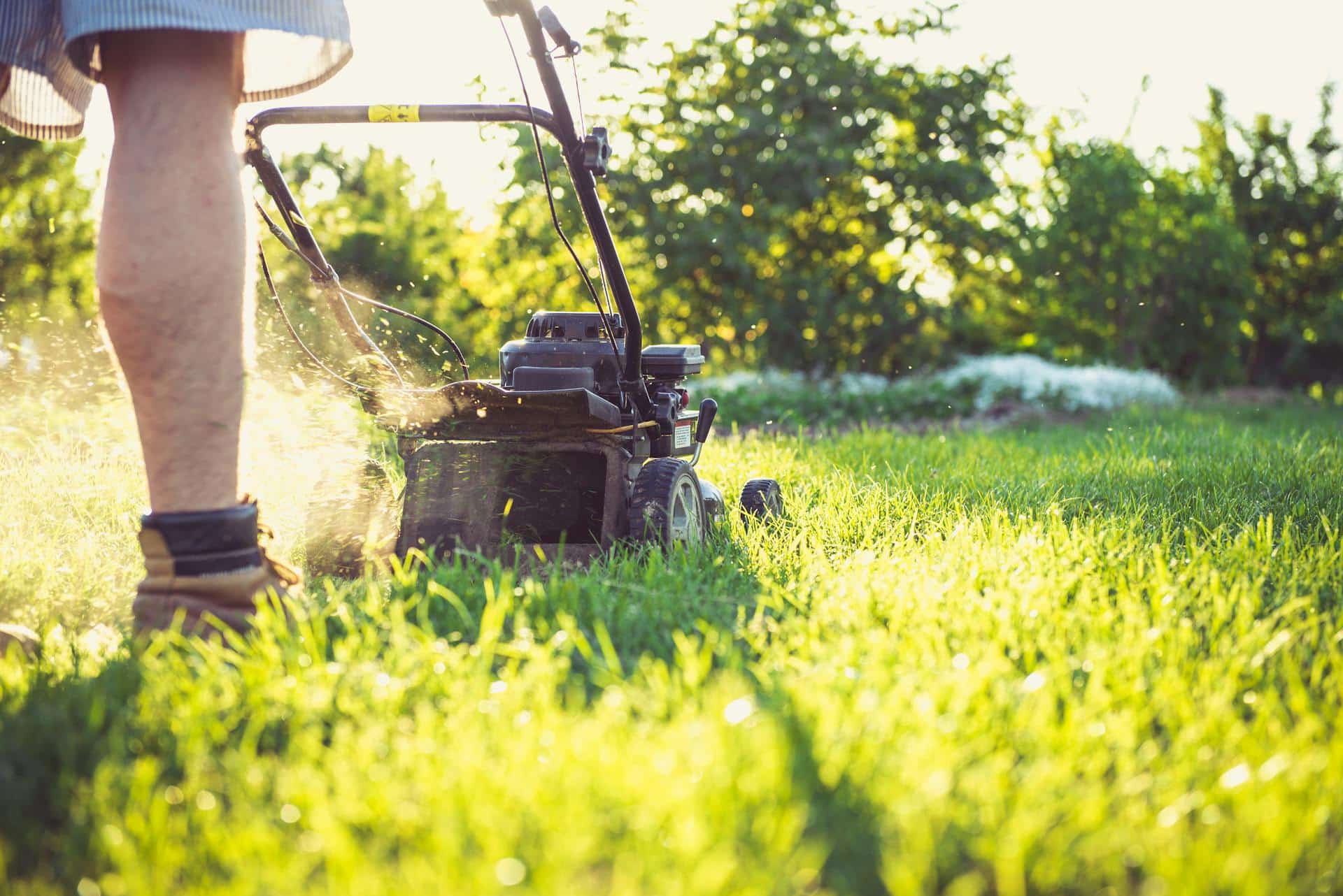 10 Top Landscaping Services For Home Sellers in Las Vegas